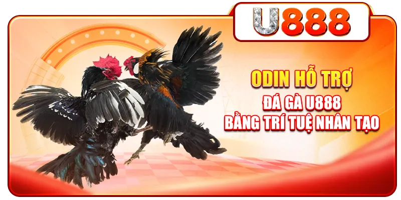 ODIN hỗ trợ đá gà U888 bằng trí tuệ nhân tạo