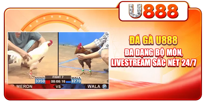 Đá gà U888 - Đang dạng bộ môn, livestream sắc nét 24/7